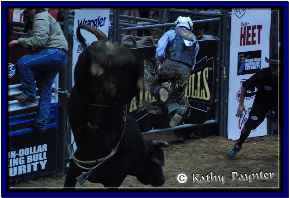 The Bull Rider goes flying