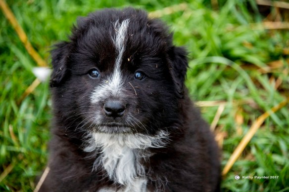 Barr Estate K75_0791IN