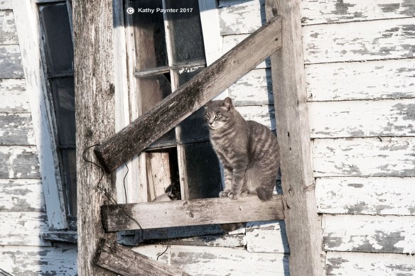 Barr Estate K75_0820IN