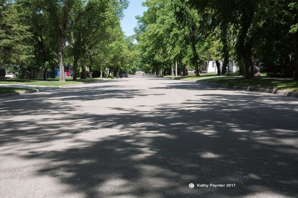 Kinistino K75_0965IN