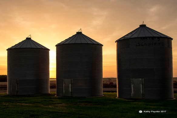 Kinistino K75_1033IN