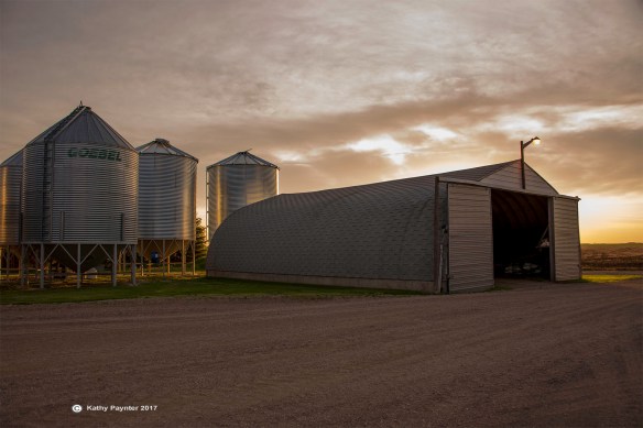 Kinistino K75_1056IN