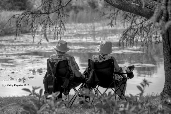 Montreal Botanical K75_2204IN