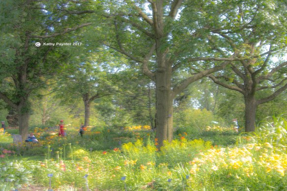 Montreal Botanical K75_2209IN