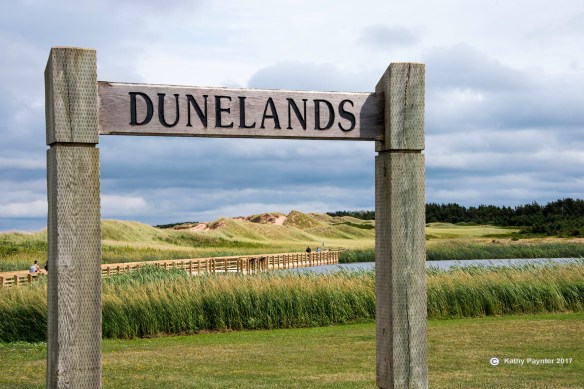 PEI CAVENDISH K75_2874IN