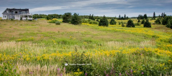 PEI HOUSE K75_2846IN