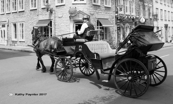 Quebec City K75_2293IN
