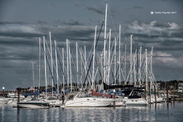 Shediac K75_2639nikIN